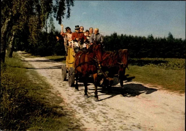 UNDELOH Heide AK Postkutsche Pferde Fuhrwerk ungelaufen alte AK ca. 70er Jahre