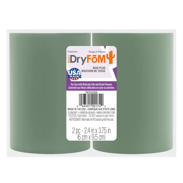 FloraCraft Floral Desert DryFoM Mug Plug 2/Pkg-2.4"x3.75" DFD253GS