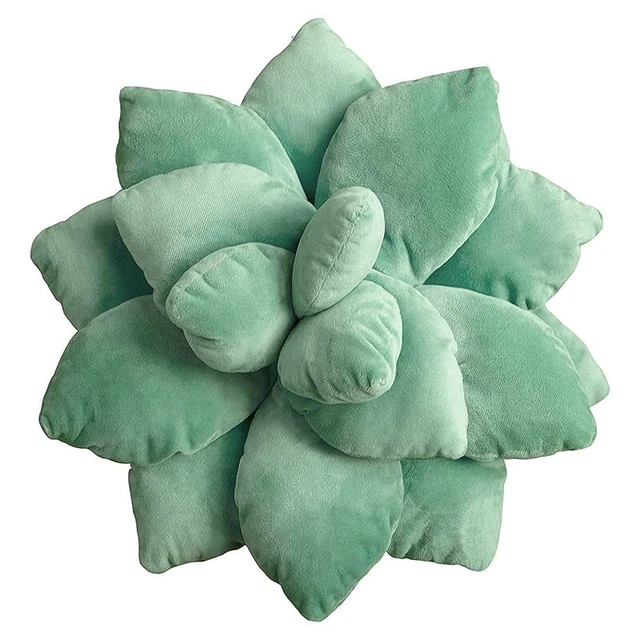 Succulent Pillow Succulents Cactus Pillow Cute Succulents for Garden or6972