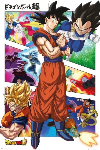 Dragon Ball Z Goku Vegeta Anime Premium POSTER MADE IN USA - ANI040