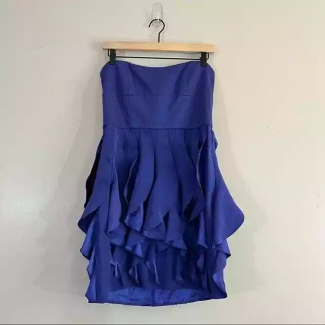 Cynthia Steffe Zoe Cerise Silk Strapless Ruffle Dress in Blue Women's Size 10