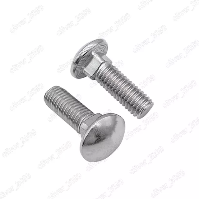 316 bulloni testa tazza funghi acciaio inox collo quadrato DIN603 M6 M8 M10 M12