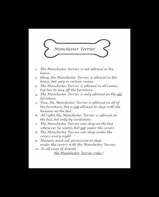 * Manchester Terrier "Rules" - CUSTOM MATTED - Dog Art Print : GIFT