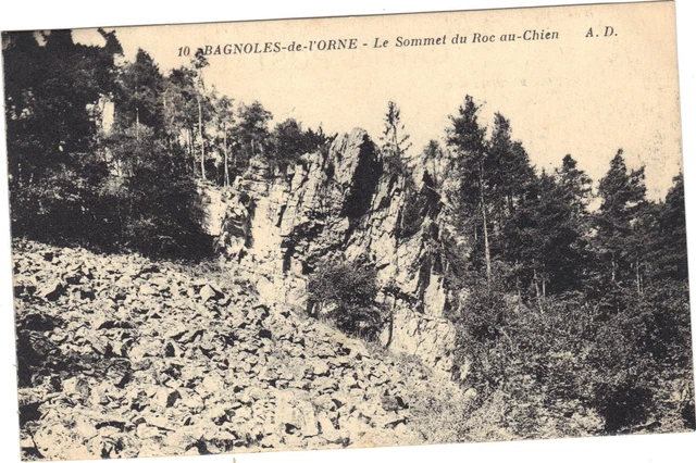 61 - cpa - BAGNOLES DE L'ORNE - Le sommet du Roc-au-Chien