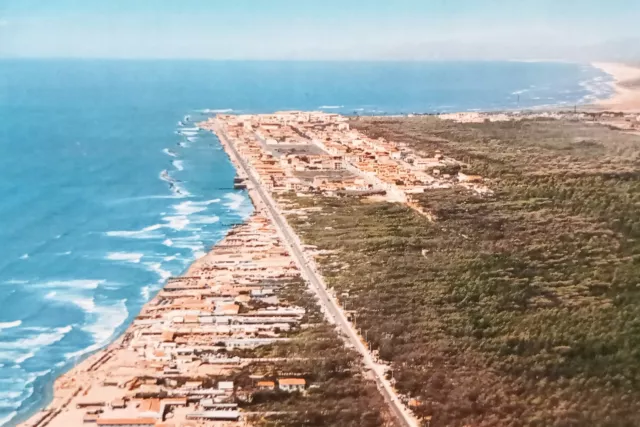 Cartolina - Tirrenia - Marina di Pisa - Panorama - 1969