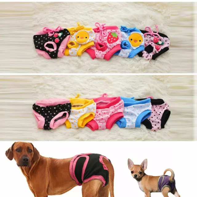 Mascota Cachorro Femenino Perro Fisiológico Pantalones Pañal Pañales Bragas <