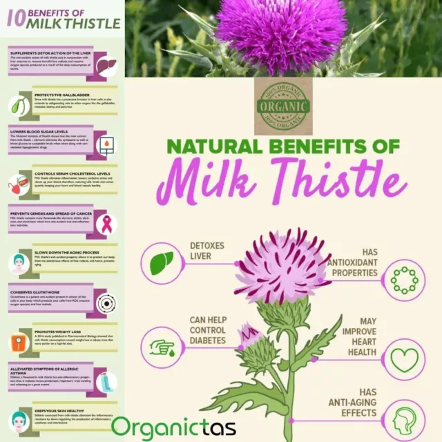 Milk Thistle 100 caps 3000mg per serving ANTIOXIDANTES SALUD HIGADO envio GRATIS 3