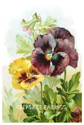Pansy Postcard Reproduction Quilt Block Multi Szs FREE SHIpPiNG WoRld WiDE (K8