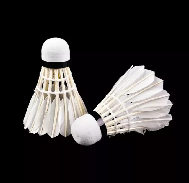2 Training Sports Goose Feather Birdies Ball Game Shuttlecocks Badminton USA NEW 2 Training Sports Goose Feather Birdies Ball Game Shuttlecocks Badminton USA NEW