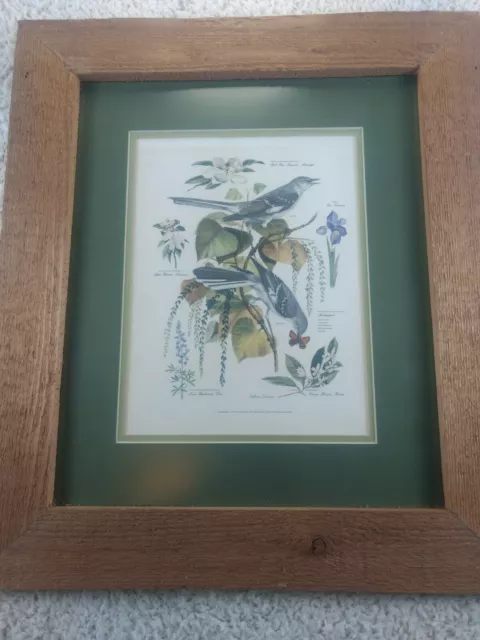 Arthur Singer Signed Framed Bird Wall Art Picture Print Vtg Mockingbird #4 Arthur Singer Signed Framed Bird Wall Art Picture Print Vtg Mockingbird #4