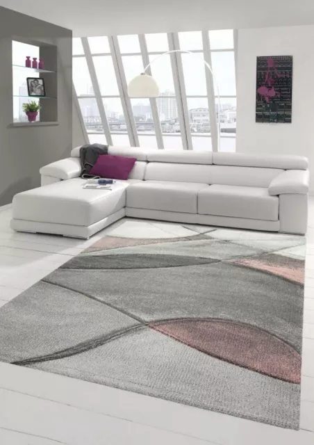 ESTRATTO MODERNO DEL salone del tappeto della moquette nel grigio rosa  pastello EUR 44,00 - PicClick IT