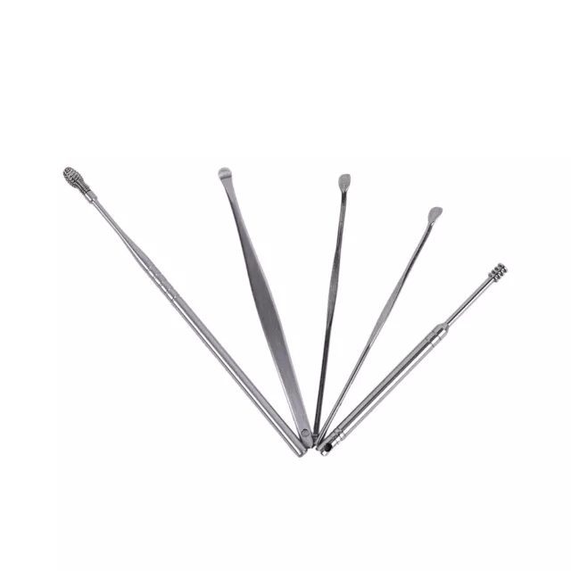 5pcs Stainless Steel Ear Pick Wax Curette Remover Cleaner Care EarPick Tool`L 2