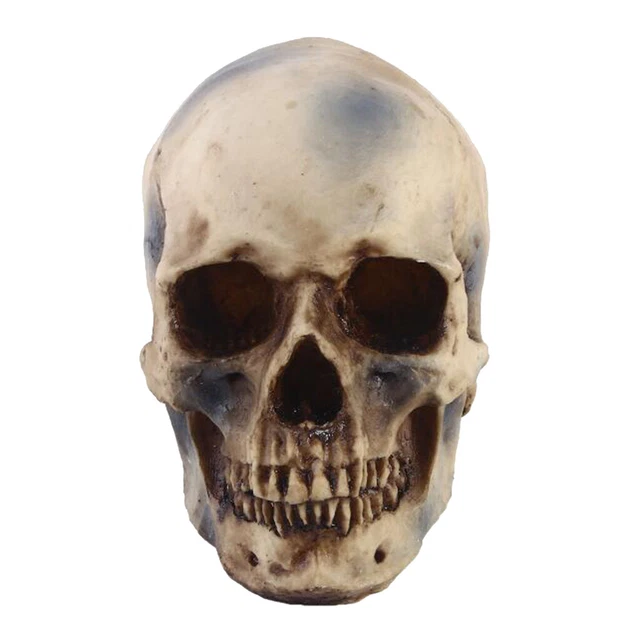 1 Stück Human Decor Realistische Schädelkopf Skelettkopf Statue für Home Bar