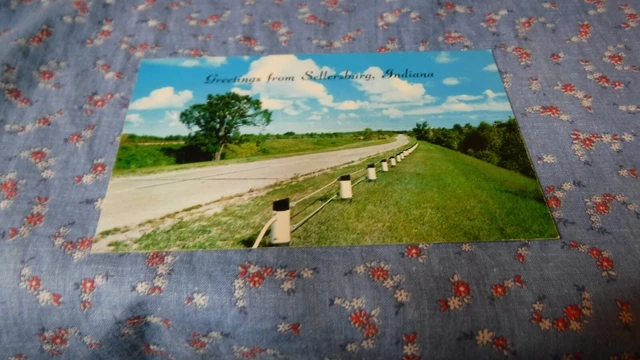 Old Postcard  Greetings from Sellersburg Indiana  Rural Road Scene