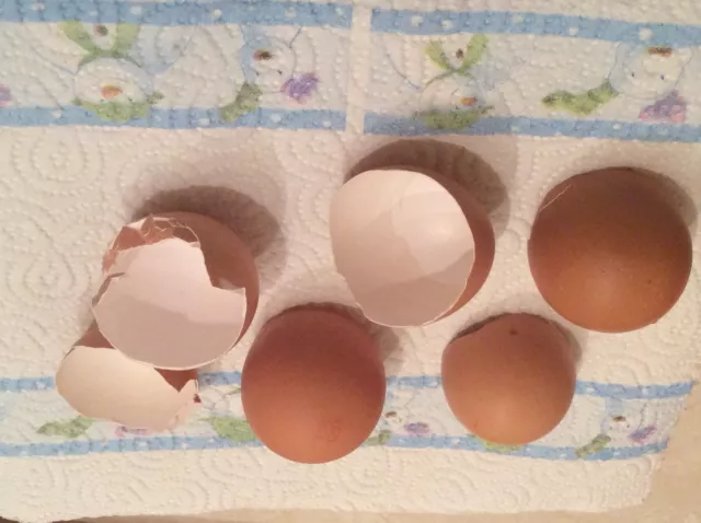 Crushed CHICKEN EGG SHELLS 450 GRAMS