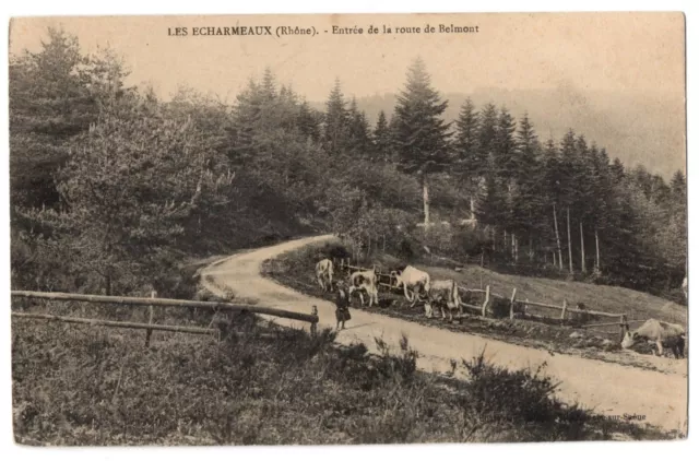 CPA 69 - LES ECHARMEAUX (Rhône) - Entrée de la route de Belmont