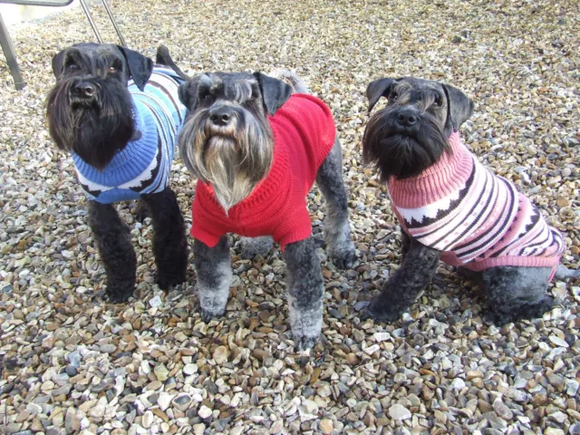 Ancol Warm Thermal Cable Knit Jumper Dog Puppy Unisex Sweater - Nuts About Mutts