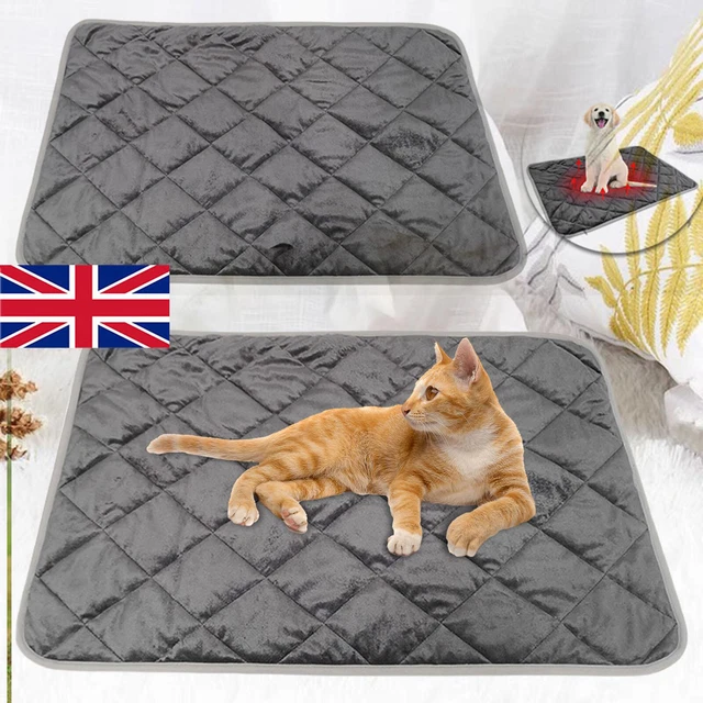 Thermal cat blanket cheap
