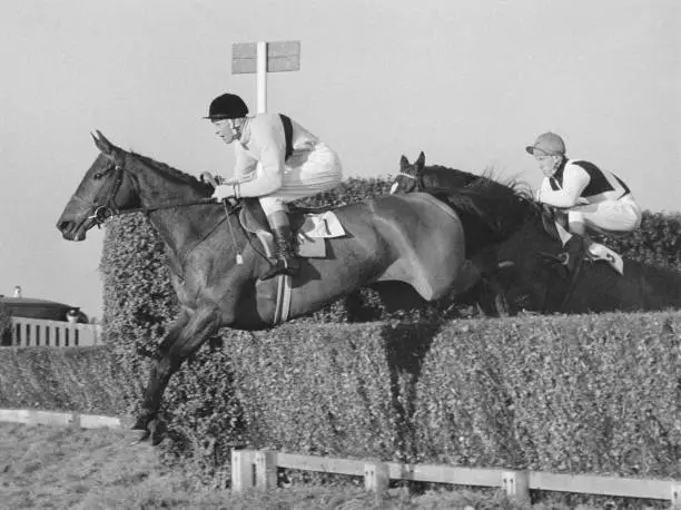 Pat Taaffe And Arkle At Sandown Park Surrey 1965 Old Photo