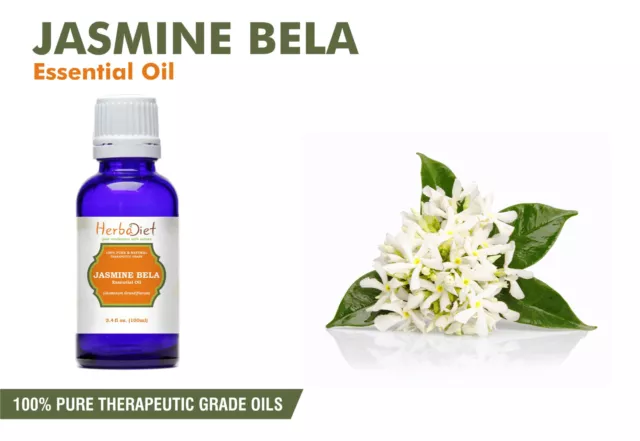 Jasmine Essential Oil 100% Pure Natural Aromatherapy Oils Therapeutic Grade