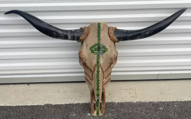 Steer Skull Long Horns Mounted 44.5” Cow Bull Taxidermy Painted Ornate Longhorn