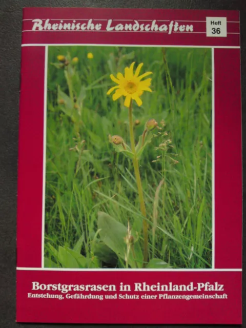 RHEINISCHE LANDSCHAFTEN - Borstgrasrasen in Rheinland-Pfalz - (KU361 ...