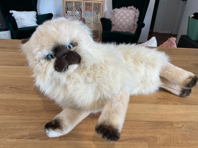 BOCCHETTA PLUSH TOY HIMALAYAN CAT Toffee Siamese Blue Eyes 50cm