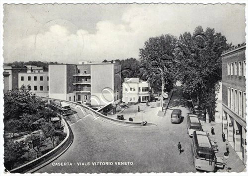 Cartolina di Caserta, viale Vittorio Veneto - 1955