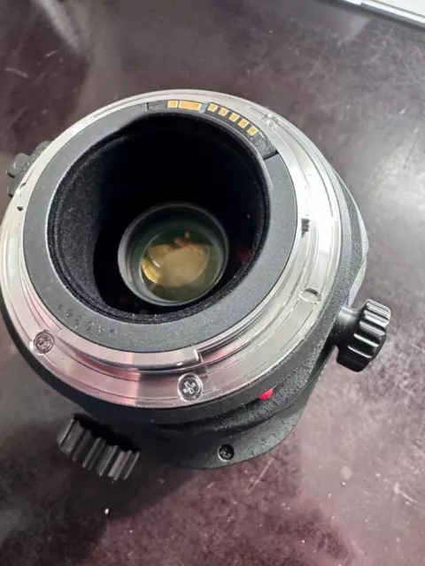 Canon TS-E 24 mm F/3.5 L II Objektiv- fast neuwertig