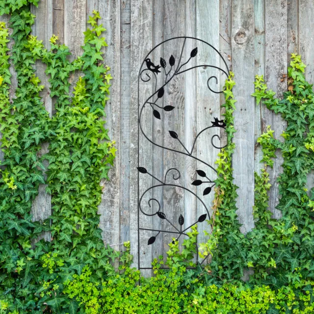 Treillis jardin oiseaux fer clôture plante grimpante grille fleurs métal arceau 2