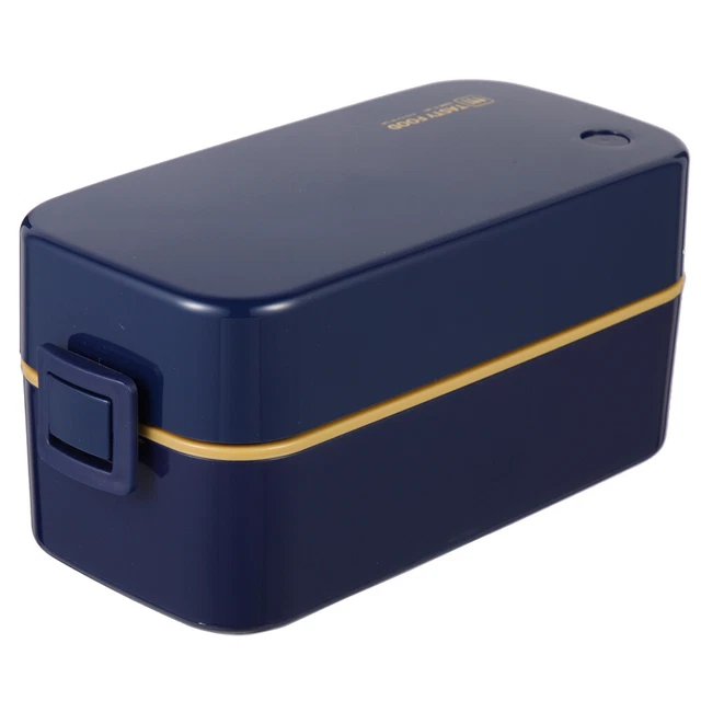 Scatola Medicinali Porta Medicine a Doppio Strato, Scomparti e Manici, Organizer per Casa e Viaggi, 23,5x17x13,5 cm