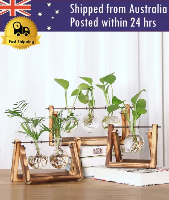 Hydroponics Plant Bonsai Flower Glass and Wood Table Vase Planter Terrarium Pot