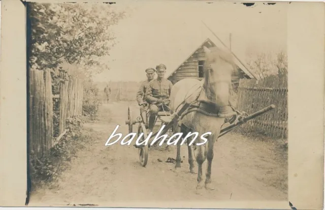 Foto Lettland -Offiziere mit Pferdegespann  Inf.Regt.407   1.WK (d79)