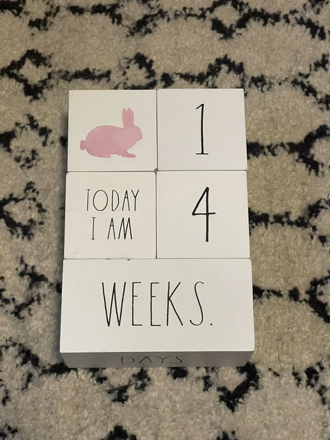 Rae Dunn Baby Unisex Milestone Blocks Used