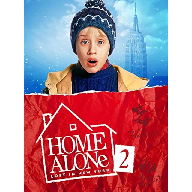 HOME ALONE 2: Lost In New York [DVD] £2.99 - PicClick UK