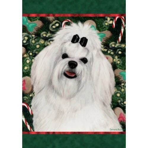 Christmas Holiday Garden Flag - Maltese 140411