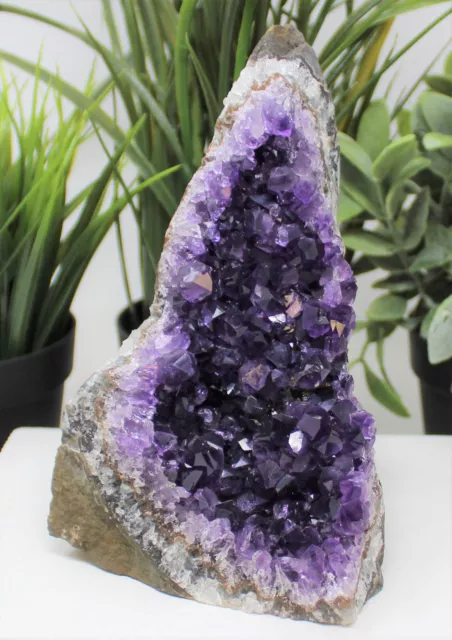 Stunning HUGE Amethyst Cut Base Cluster Crystal Quartz Geode 2 lb - 3 lb