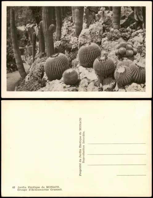 Monaco Exotique de MONACO Groupe d'Echinocactus Grusonii (Kakteen) 1940
