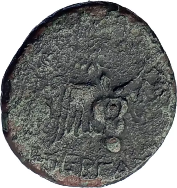 Pergamon in Mysia 310BC Authentic Ancient Greek Coin Athena Bull i73730