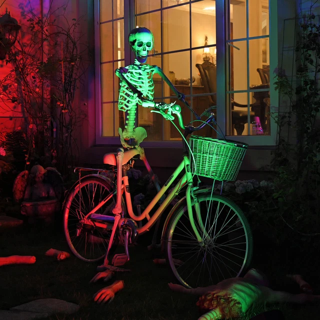 5.4' Full Body Skeleton Prop Poseable Joints Halloween Decor Human Anatomy Model