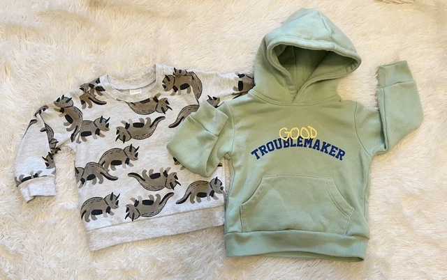 Lot Of 2 Carters Baby Boy Dinosaurs Sweater And Green Hoodie 12 Months