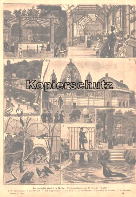 "Der zoologische Garten in Berlin" Blatt mit 7 Abb. Original Holzstich von 1886