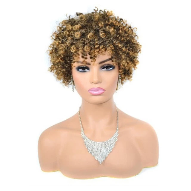 Afro Wig Fancy Dress Party Curly Synthetic Full Wig Funky Disco Men's Hair