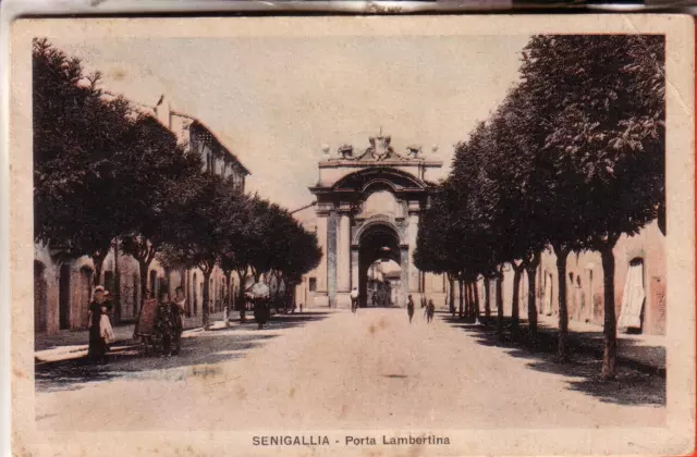 Cartolina  Senigallia  Fp  Viaggiata  1933 Porta Lambertina Animata  Rara