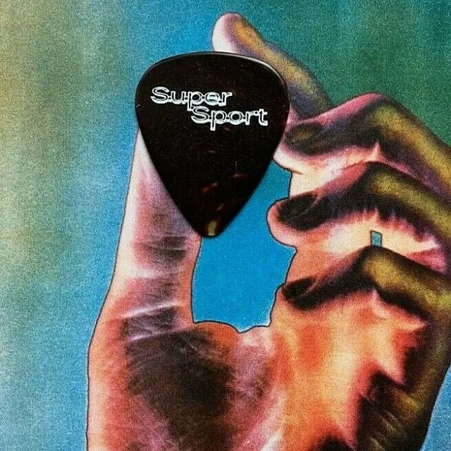 AEROSMITH Brad Whitford 2001 Super Sport tort guitar pick - NEW LISTING!!