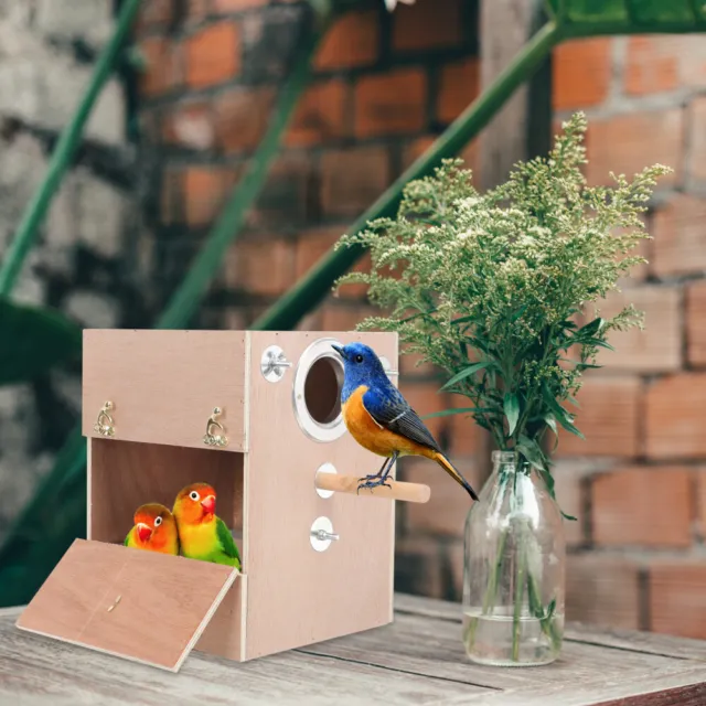 Hölzern Vogelspielzeug Für Sittiche Vogelhäuschen Draußen Schublade Aus Holz