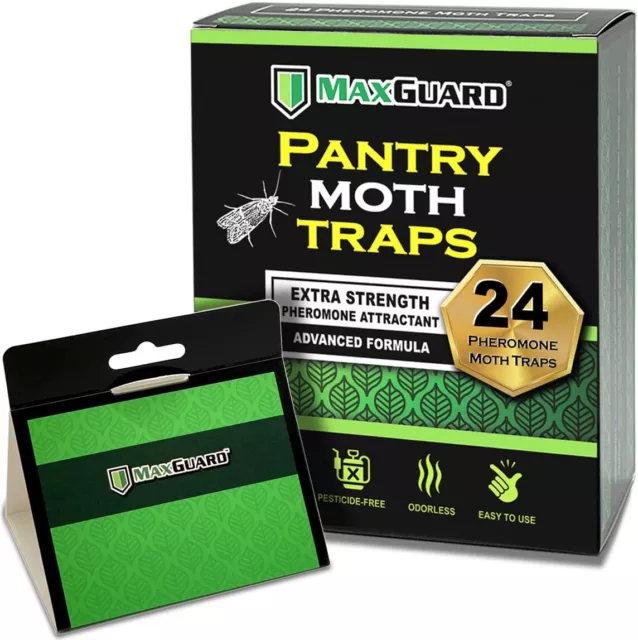 MaxGuard Pantry Moth Traps (24 Pack) with Extra Strength Pheromones | Non-Toxic
