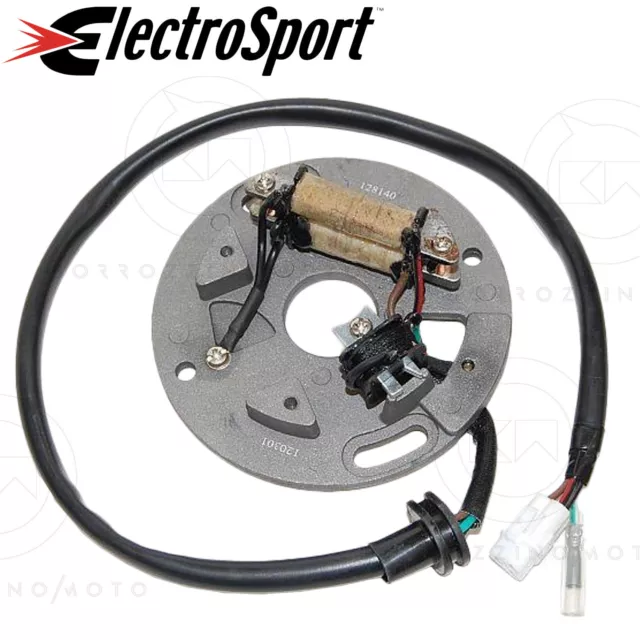 Statore Volano Bobina Electrosport Sportivo Esc140 Yamaha Yz 250 1992 1993 1994