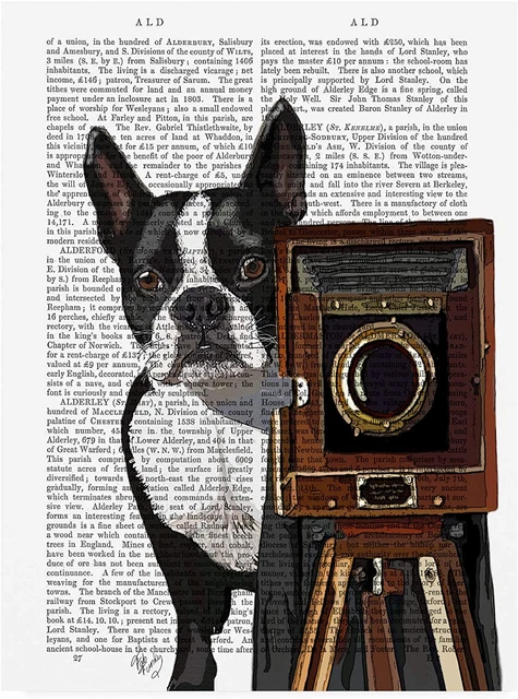 Trademark Fine Art Boston Terrier Photographer Camera by Fab Funky, 24x32