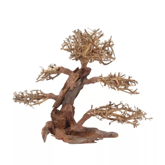 XL Bonsaï Arbre Nr.12066 Racine Bois Aquarium Déco Aquascaping Nature Oriental